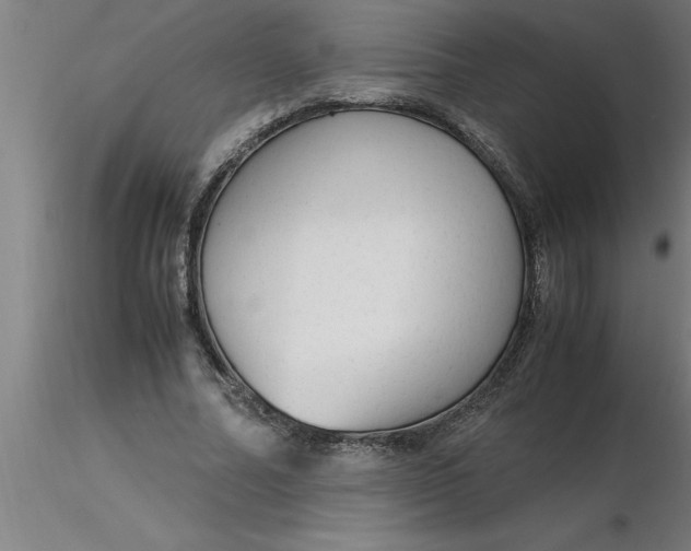 X0000116370682200912231316