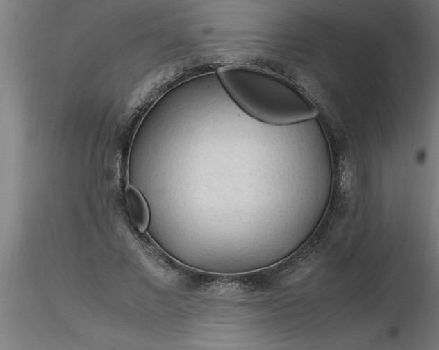 X0000116370685200912231316