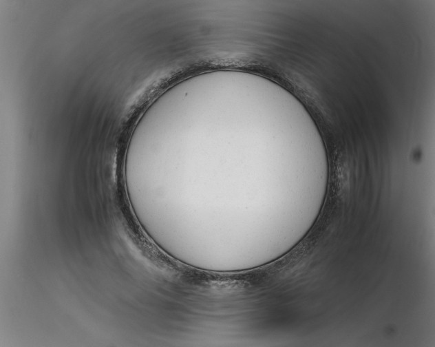 X0000116370686200912231316