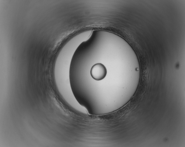 X0000116370688200912231316