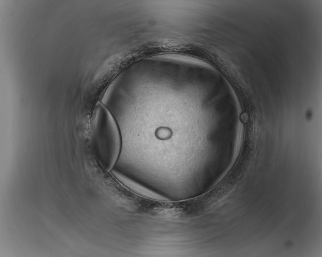 X0000116370689200912231316