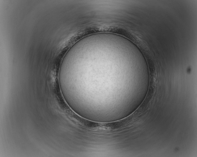 X0000116370691200912231316