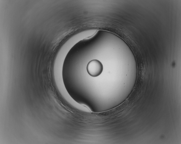 X0000116370692200912231316