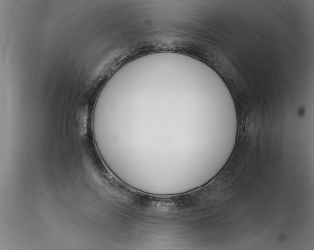 X0000116370694200912231316