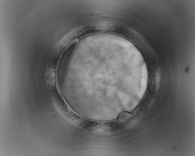 X0000116370696200912231316