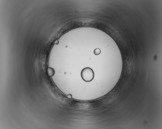 X0000116370698200912231316