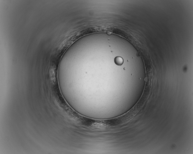 X0000116370699200912231316