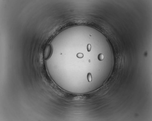 X0000116370700200912231316