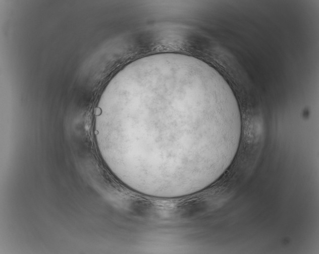 X0000116370701200912231316