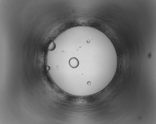 X0000116370702200912231316