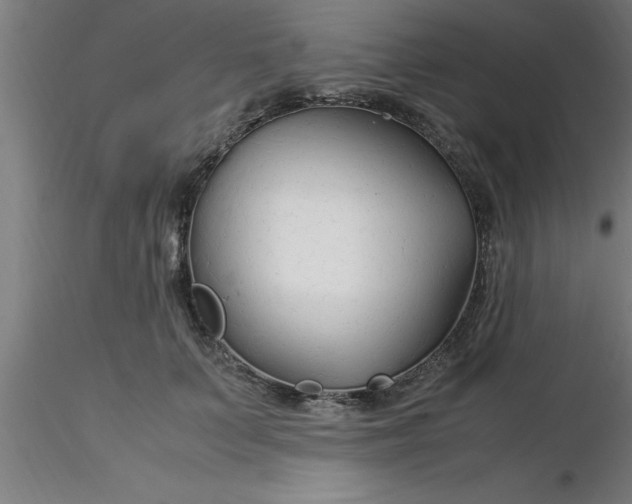 X0000116370703200912231316