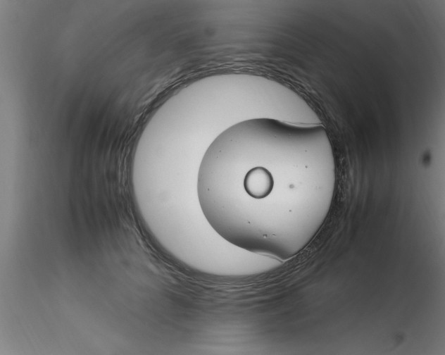 X0000116370704200912231316