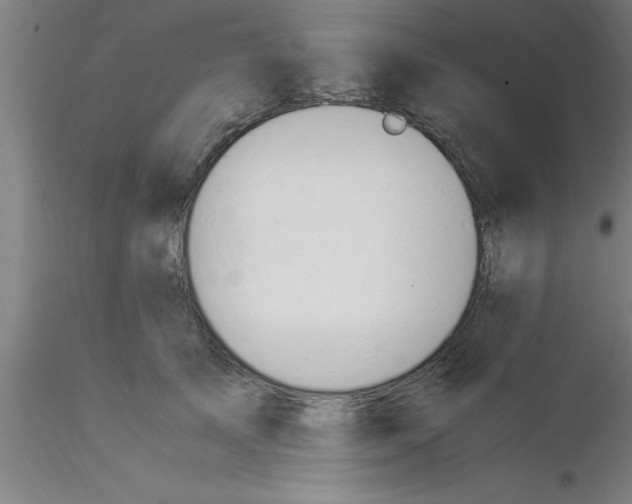 X0000116370705200912231316