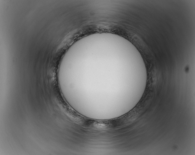 X0000116370706200912231316