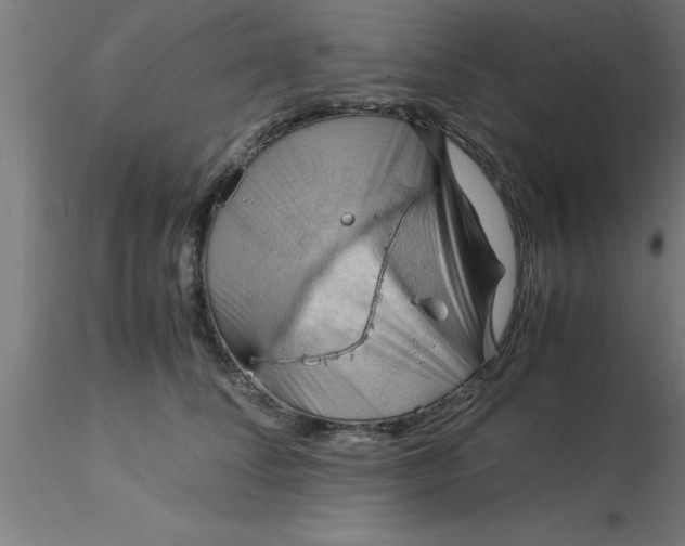 X0000116370708200912231316