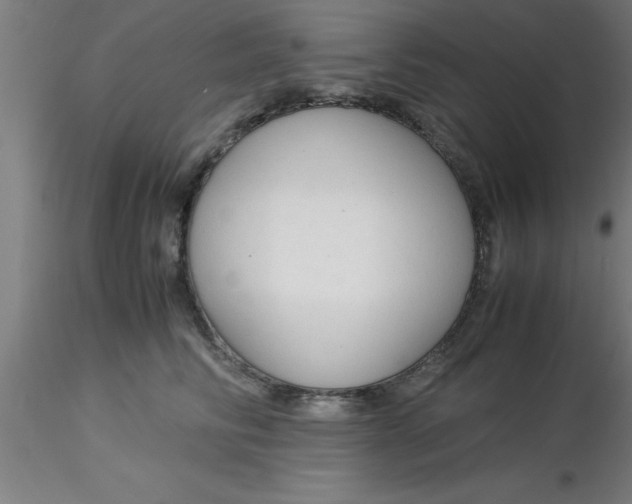 X0000116370710200912231316