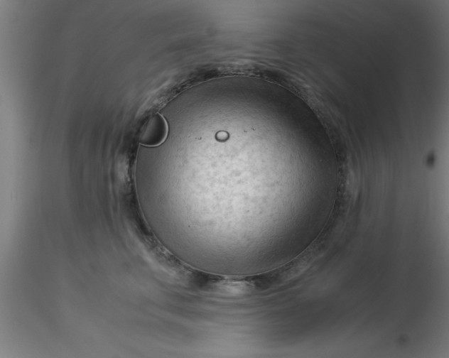 X0000116370711200912231316