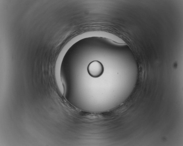 X0000116370712200912231316