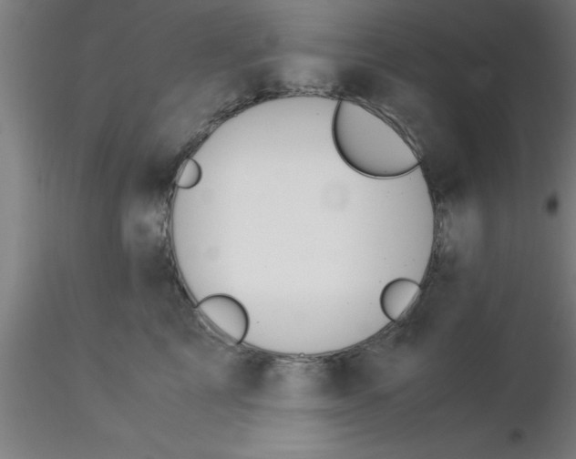 X0000116370713200912231316