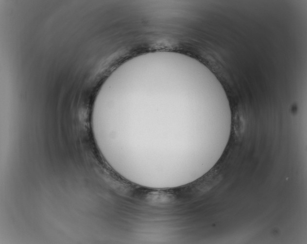 X0000116370714200912231316