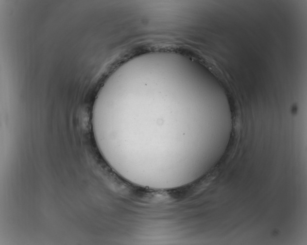 X0000116370715200912231316