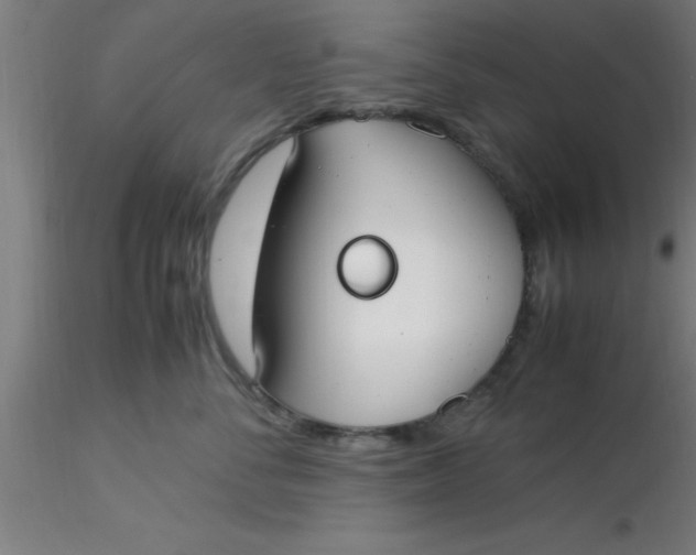 X0000116370716200912231316