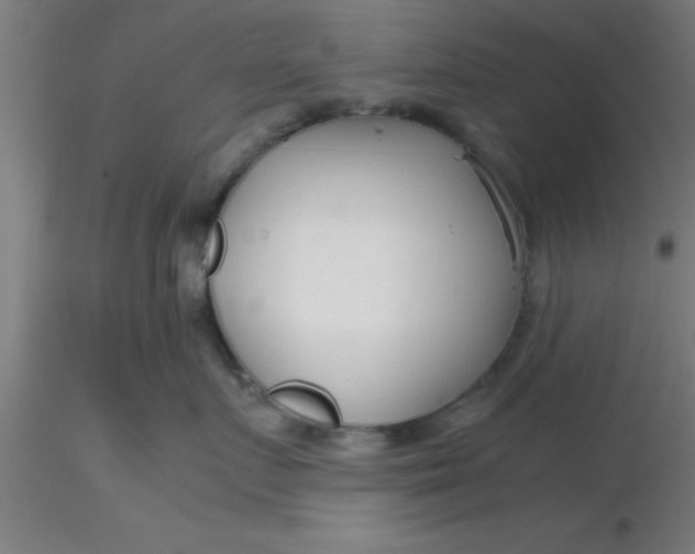 X0000116370719200912231316