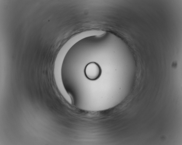 X0000116370720200912231316