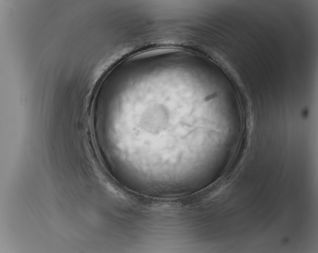 X0000116370721200912231315