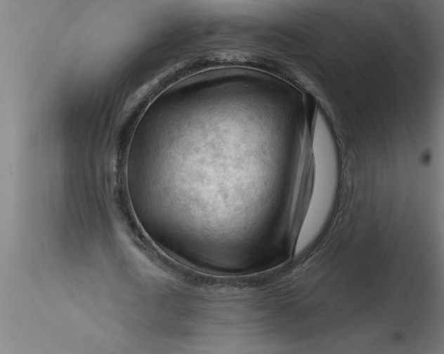 X0000116370722200912231315