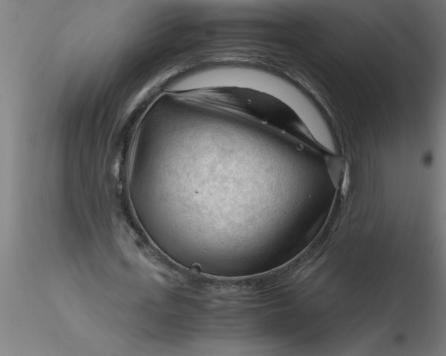 X0000116370723200912231315