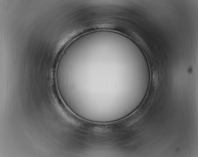 X0000116370725200912231315