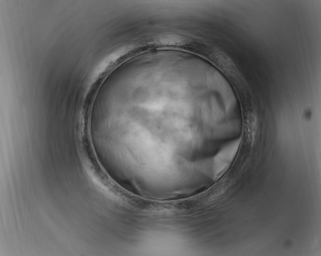 X0000116370726200912231315