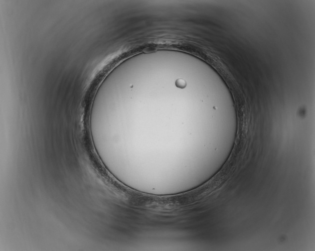 X0000116370727200912231315