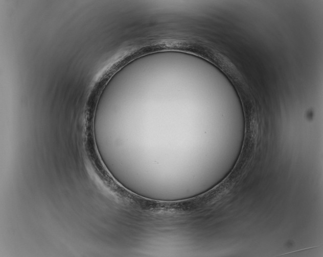 X0000116370730200912231315