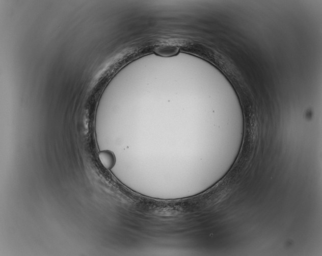 X0000116370731200912231315