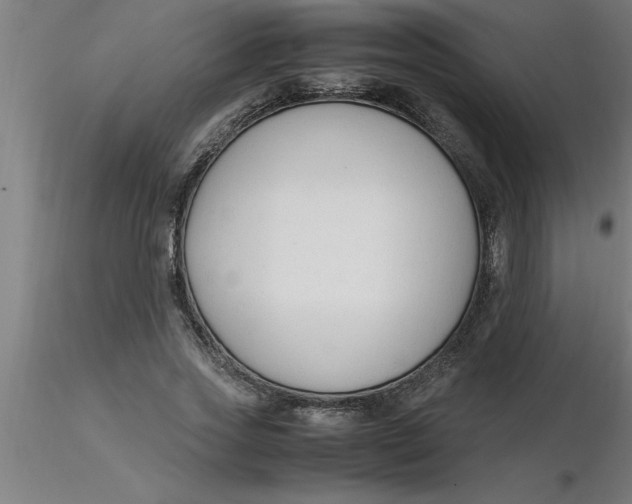 X0000116370733200912231315