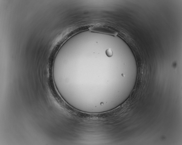 X0000116370734200912231315