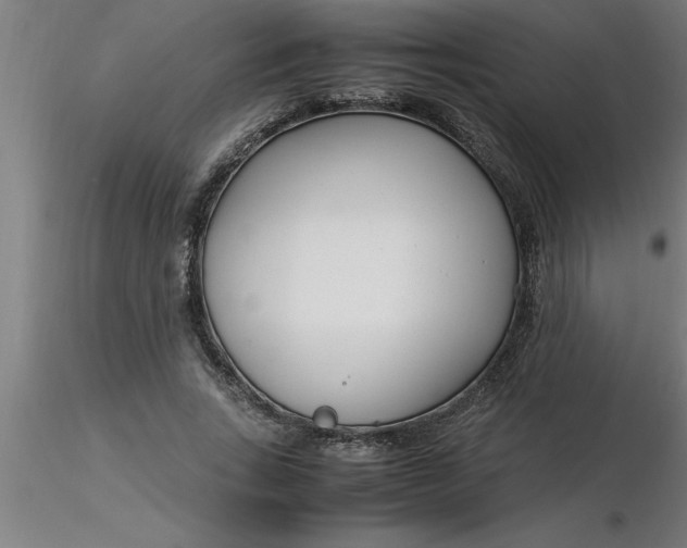 X0000116370735200912231315