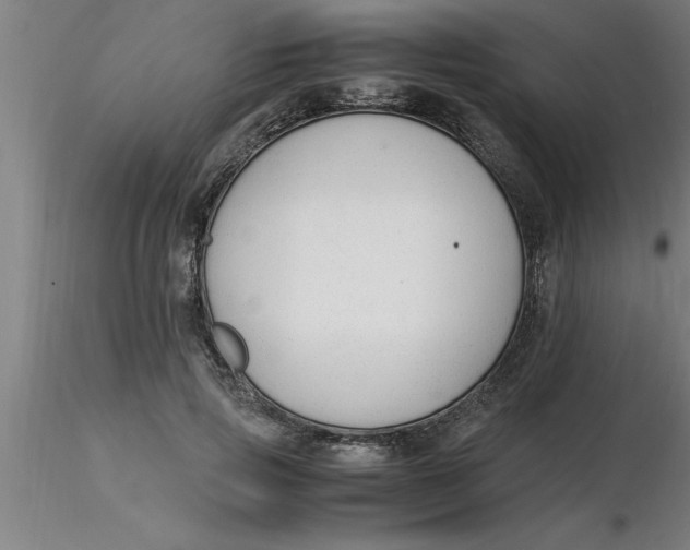 X0000116370741200912231315