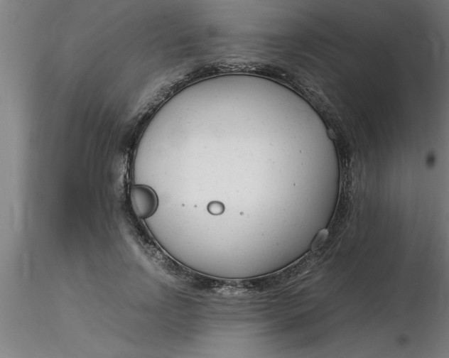 X0000116370742200912231315