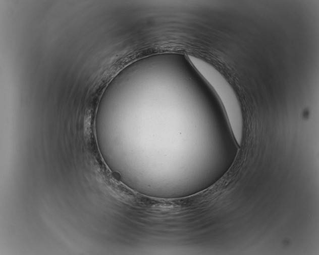 X0000116370745200912231315