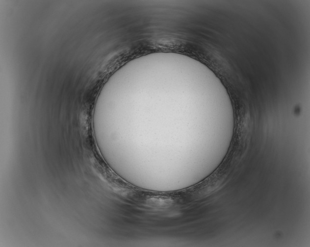 X0000116370749200912231315