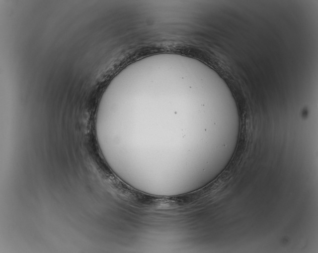 X0000116370750200912231315