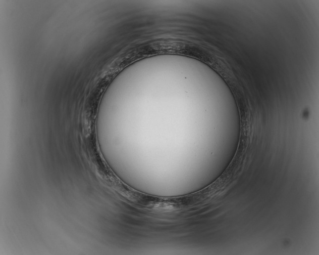 X0000116370751200912231315