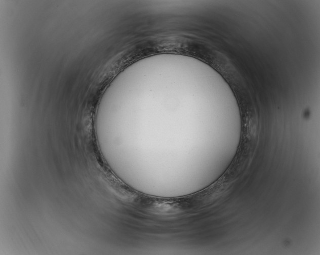 X0000116370753200912231315