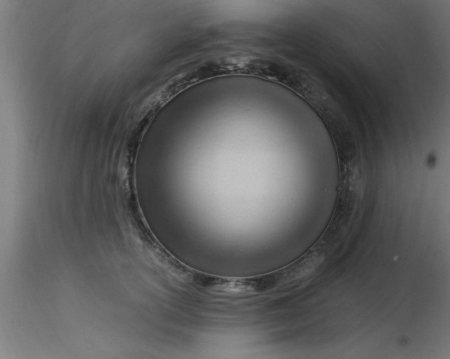 X0000116370754200912231315