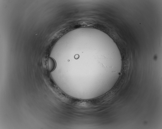 X0000116370755200912231315