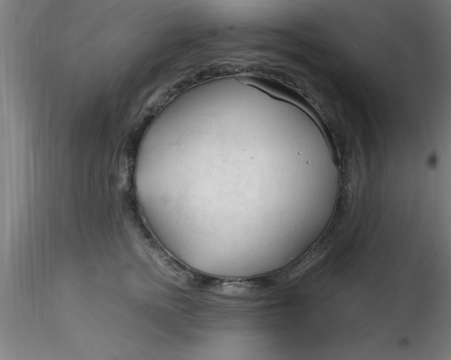 X0000116370758200912231315