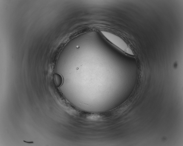 X0000116370759200912231315